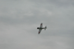 P6150068_JPG