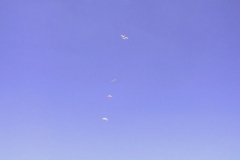 124-2492_IMG_JPG