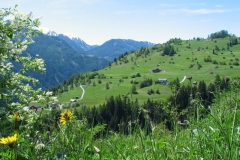 Img_5428_jpg