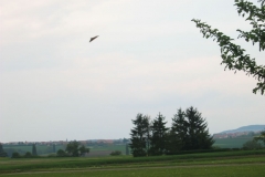 IMG_7329_JPG