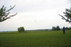 IMG_7334_JPG