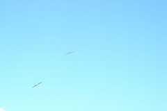 DSCN2502_JPG