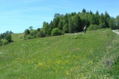DSCN2533_JPG