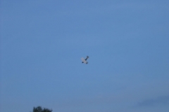 IMG_9366_JPG