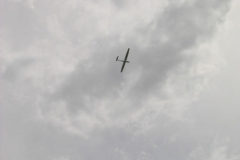 Fiss0817_JPG