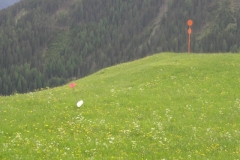 Fiss0831_JPG