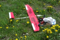 Fiss0832_JPG
