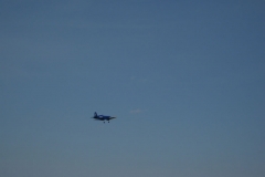 IMG_1555_JPG