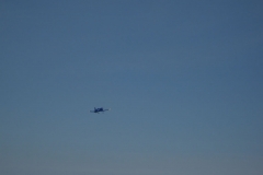 IMG_1556_JPG
