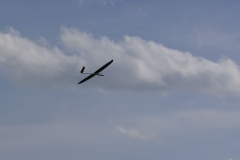 Fiss200910_JPG