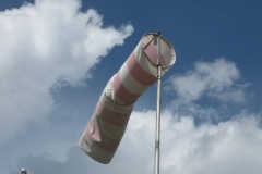Fiss200949_JPG