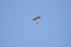 2010 Ausflug