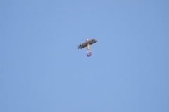 2010_0703_232046