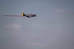 2012_05_01_4035
