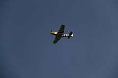 2012_05_01_4089