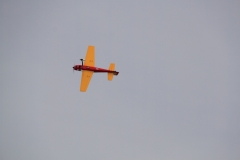 IMG_9609