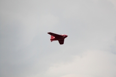 IMG_9864