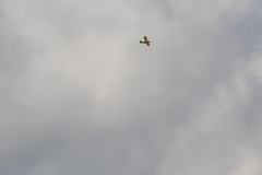 Bremserfest_Bellas_Geo_2015__(17)