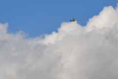 Bremserfest_Bellas_Geo_2015__(18)