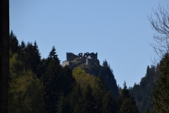 DSC_0345