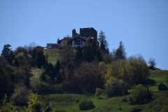 DSC_0356