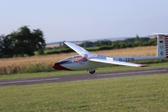 Kestrel 19 (80)