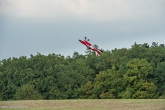 Bremserfest(220)