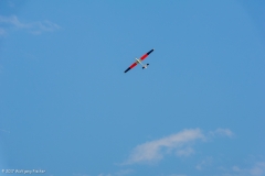 Bremserfest(27)