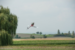Bremserfest(44)