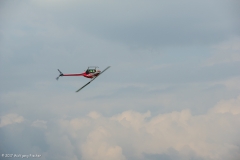 Bremserfest(46)