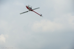 Bremserfest(50)