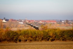 CIG_IMG003