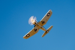 CIG_IMG006a