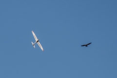 CIG_IMG010