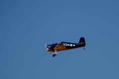 CIG_IMG026