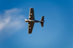 CIG_IMG031