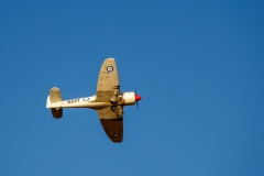 CIG_IMG037