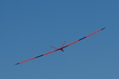 CIG_IMG037a