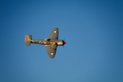 CIG_IMG041