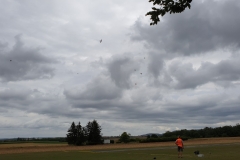 20190810_113358