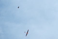 P1001587