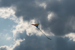 P1000483