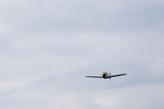 P1019481