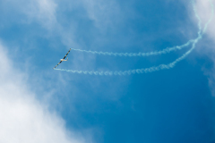 005_P1019852