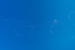 055_P1020126