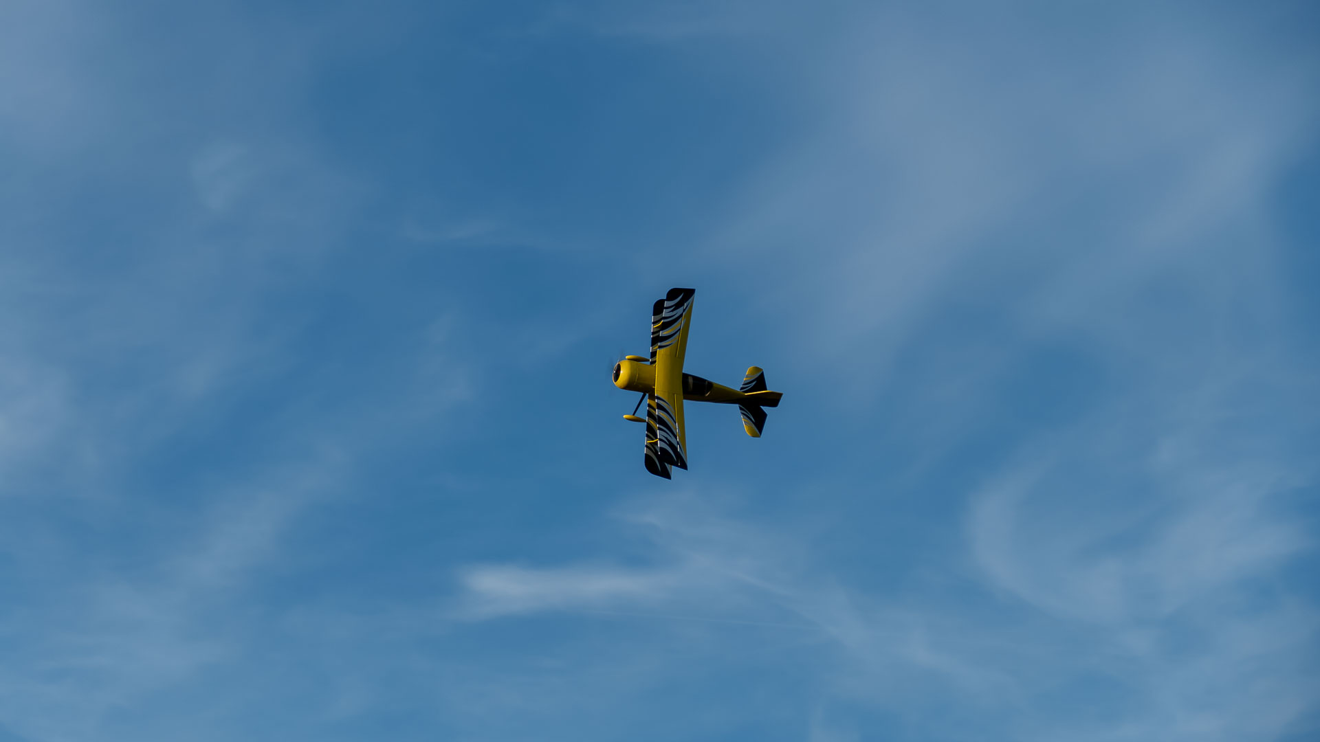 P1023533