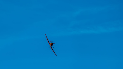 P1022967