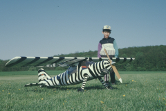 Do-27-Zebra_2