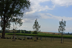 IMG-20230729-WA0001