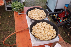 IMG-20230729-WA0037